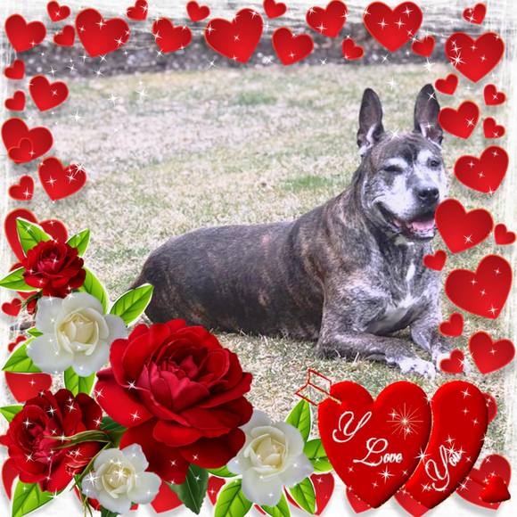 Meet your Posher, Derrick - Picture 1 of 1